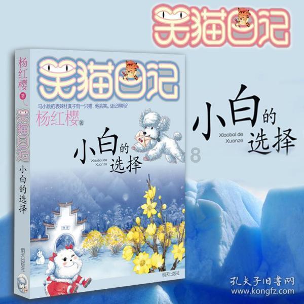 苏菲亚安伯时装秀