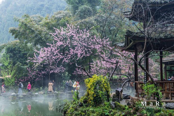 法拉第的缺陷