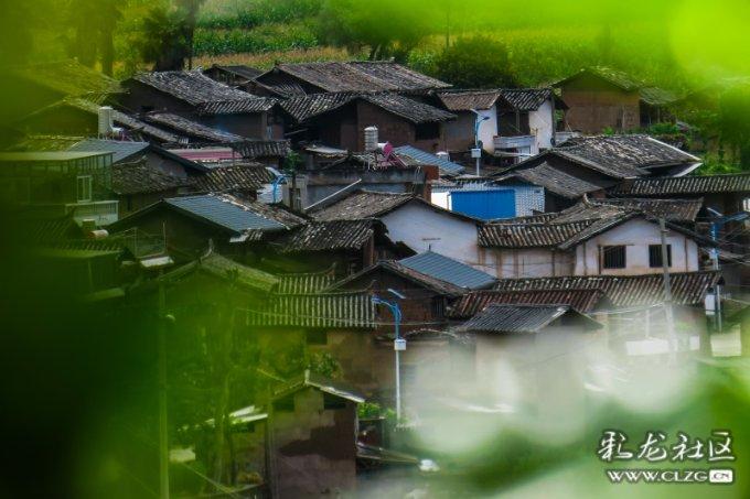 精灵的居住地