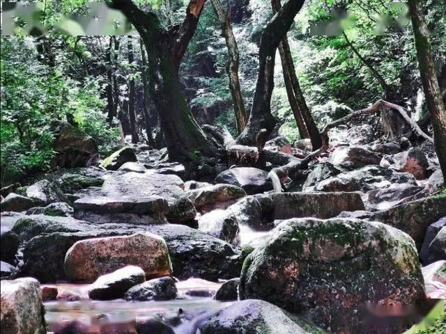 首店经济激发消费新动能（大数据观察）