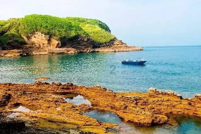茂密丛林逃生