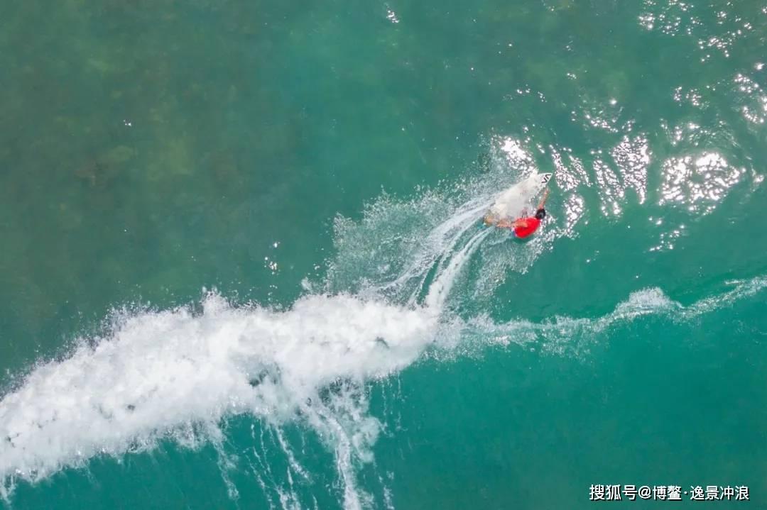 奥日与精灵意志