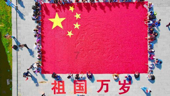 植物大战僵尸9