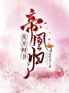 我叫MT4