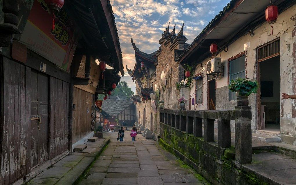 营救小乌龟