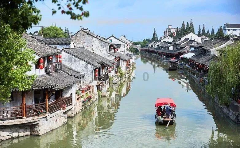 动物帮帮忙保卫家园