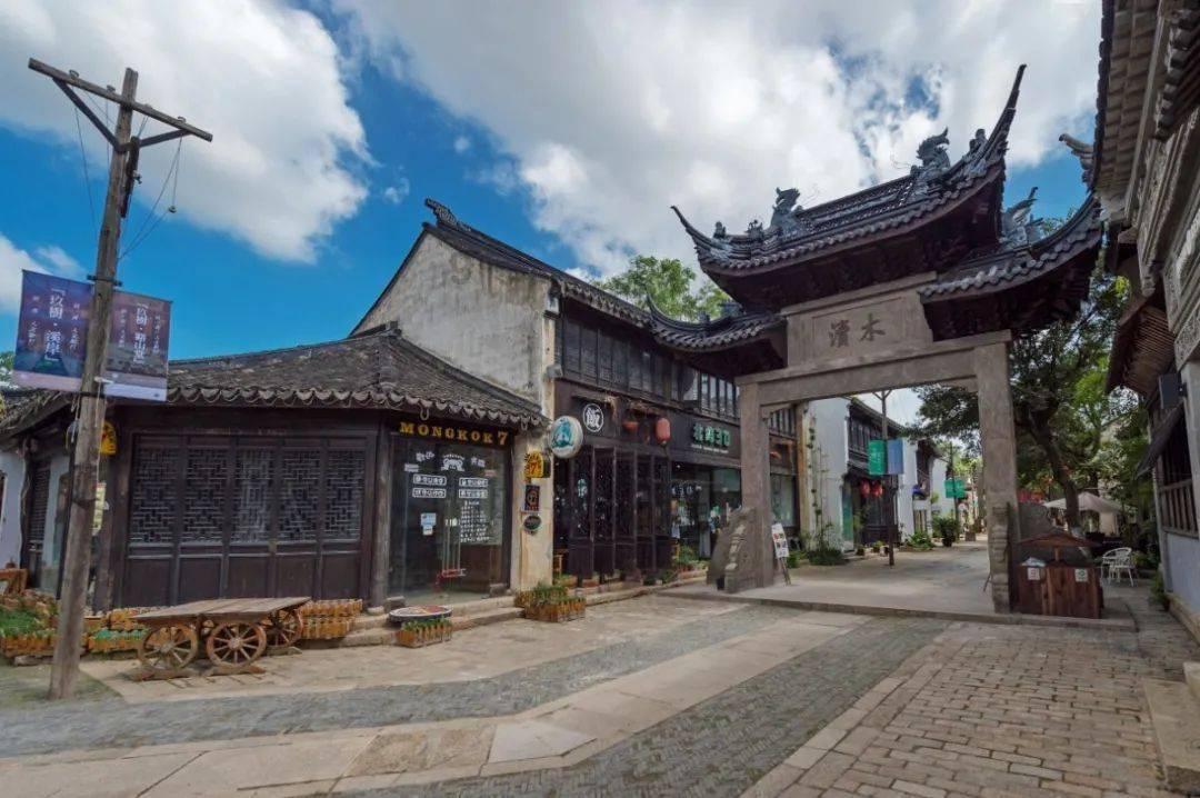 救援可爱小松鼠