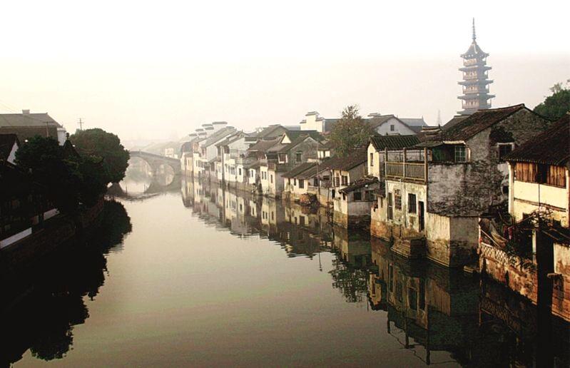鲜淡菜怎么吃